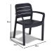 Tisara Graphite Dining Chair