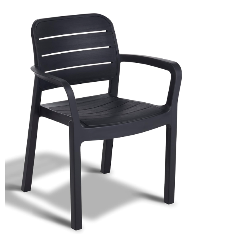 Tisara Graphite Dining Chair