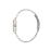 Daniel Klein Silver and Gold Stainless Steel Watch for Women DK.1.14113-4