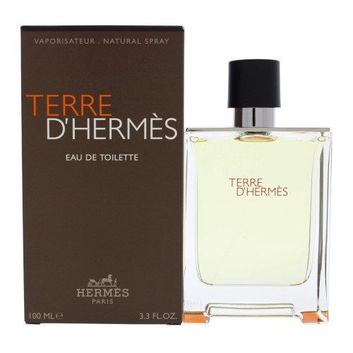 Hermes Terre D'Hermes for Men EDT 100 ml 04509603