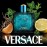 Versace Eros for Men EDP 100 ml 04561224