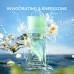 Elizabeth Arden Green Tea for Women EDP 100 ml 04568848