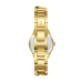 Lee Cooper Stainless Steel Gold Watch for Women LC08291.170