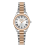 Slazenger Stainless Steel Silver and Rose Gold Watch for Women SL.09.2591.3.530