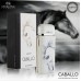 Armaf Caballo for Men EDP 100ml OP155648